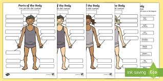 body parts labelling activity english spanish eal