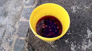 Comment Preparer Des Olives Noires Youtube