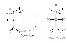Image result for Glycine