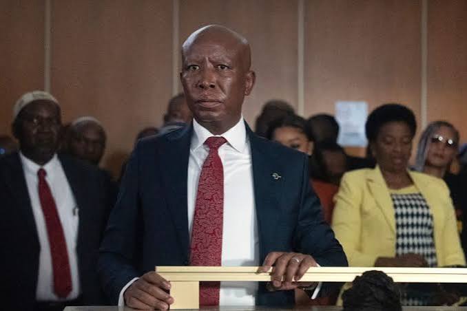 South African politician Julius Malema sentenced to prison for firing gun | Courts News | Al Jazeera
