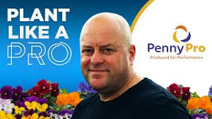 Introducing NEW Penny Pro Viola