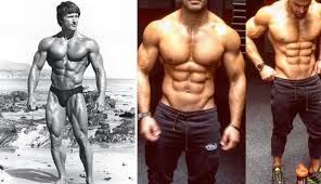 Online fitness coaching & books (my shredded lifestyle): 5 Keys To Building An Aesthetic Body Fitness And Power