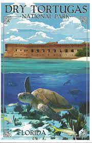 Poster 12X18- Dry Tortugas Art Sea Turtle - Florida National Parks  Association