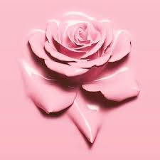 See more ideas about flowers, beautiful flowers, pretty flowers. Rose Pastel Pink Flowers Aesthetic Rose Pink Aesthetic Wallpaper Novocom Top