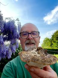 Lots of young Dryads saddle found today left alone as they are very small  not ready just yet! Surrounded by wild garlic! 🍄💚🌱🍄💚🌿🌱🍄💚🌱🍄💚 I  love sharing spots but I was absolutely gutted