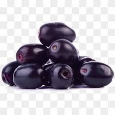 free jamun fruit png transparent images pikpng free jamun fruit png transparent images