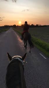 Pin By Kristina On Horses Beautiful Horses Horse Pictures Horse Life