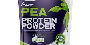 Best protein powder brands uk. 15 Best Pea Protein Powders Uk Origym