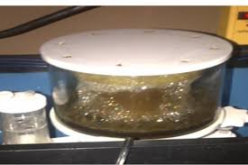 Carbon Dosing In Laymans Terms Reef Aquarium