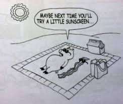 Save and share your meme collection! 17 Sun Funnies Ideas Humor Bones Funny Sunscreen