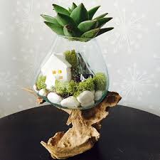 テラリウムの作り方 苔や多肉植物で小さなお庭を作りませんか 多肉植物 テラリウム お庭