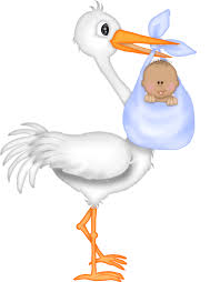 Stork Baby Shower Decorations Baby Shower Decoration Ideas Stork Baby Showers Baby Stork Baby Baby Baby Oh