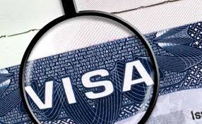 Indian Firms Gaming H 1b Visa System Us Lawmaker Work Visa Visa Green Cards