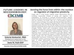 Future Leaders in Mechanobiology Seminar: Valeria Venturini - YouTube