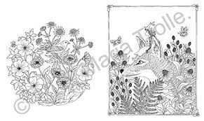 Touch device users, explore by. Flora Coloring Book Trolle Maria Amazon De Bucher
