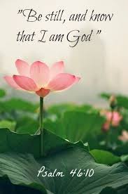 blogger 蓮の花 美しい花 季節の生花種類