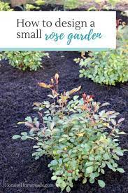 How to make a small rose garden. How To Design A Small Rose Garden Learn How To Design And Plant Your Own Rose Garden Rose Garden Landscape Rose Garden Design Rose Garden