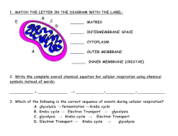 Match The Letter In The Diagram With The Label