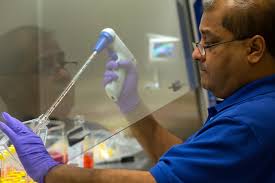 New Las Vegas medical school would start with 60 students in 2017