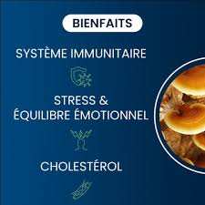 Bienfaits reishi