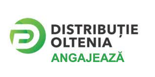 Distribuție energie oltenia sa companie românească. DistribuÅ£ie Oltenia AngajeazÄƒ Specialist DocumentaÅ£ii Cpt Informatia De Teleorman
