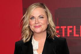 I've been dreading talking to my kids about high school. Amy Poehler To Direct Teen Film Moxie At Netflix Decider
