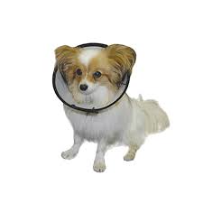 Kruuse Kedi Ve Kopekler Icin Operasyon Yakaligi 10 Cm