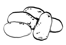 De nombreux fermiers « tuent » leurs plants de pommes de terre en stoppant tout arrosage. 11 Elegant Coloriage Pomme De Terre Photograph Coloriage Pomme Coloriage Terre Dessin