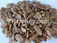 Image result for Picralima nitida