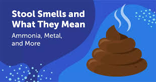 What Does Healthy Poop Look Like? | Nebraska Medicine Omaha, Ne