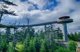Luckily for the money conscious traveler there are many amazing inexpensive things to do in gatlinburg, tn! 14 Absolutely Free Things To Do In Gatlinburg