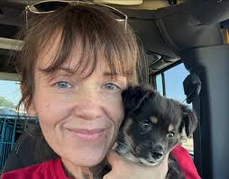 Marshall, TX Area Lost and Found, Pets Edition