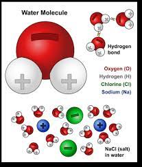 We did not find results for: Water Molecules And Their Interaction With Salt Molecules