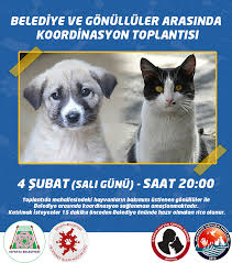 Isparta Barinak Gonulluleri Posts Facebook