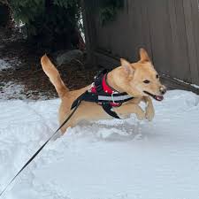 Profile for Bennett Peters