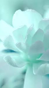 We did not find results for: Mint Green Wallpaper On Tumblr