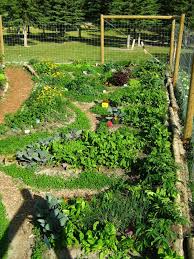 Fundamentals Of Permaculture Design In 2020 Permaculture Gardening Home Vegetable Garden Design Permaculture Design