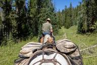 Profile Picture of Greg Lampariello - Executive chef - ah pizz restaurant | LinkedInon Google