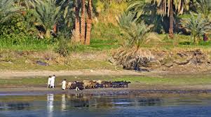 Book your tickets online for nile river, cairo: River Nile For Kids
