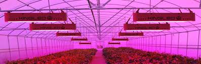44.1 x 43.7 x 2.3. Top 10 Best Led Grow Lights In 2021 Reviews Last Update