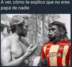 Crónica de la hazaña del deportes tolima en la final vs atlético nacional por julian quiñones. Los Memes Del Triunfo De Tolima Sobre Junior En La Superliga