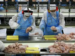 Isso ocorreu no brasil e em todas as regiões. Atividades Economicas Do Brasil The Cities