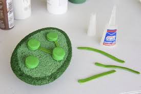 How To Build A 3d Model For Cell Biology Projects Mitochondria Chloroplast Ehow Biology Projects Animal Cell Project Cell Biology Project