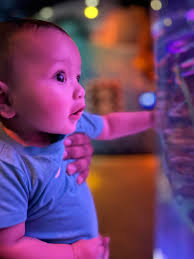 Remove person from catch and release photo?