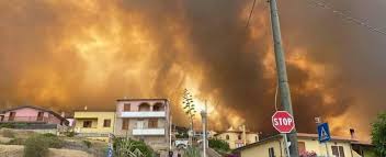 La lega ha avviato una raccolta fondi per l'emergenza incendi in sardegna. 7kd5vpsojdtujm