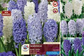 Jun 07, 2021 · patricia m. Fragrant Spring Moments Florissa Flowers Roses Fruits Veggiesflorissa Flowers Roses Fruits And Veggies