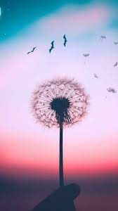Wallpaper Nature Para Celular Nature Wallpaper Cute Wallpaper Backgrounds Beginner Painting