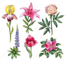 Maybe you would like to learn more about one of these? Fotos De E Ilustraciones Con Flores De Stock E Ilustraciones Con Flores Imagenes Libres De Derechos Depositphotos