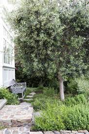 Garden Visit A Modern Ca Garden Inspired By The Classics Gardenista Olive Trees Garden Mediterranean Garden Outdoor Gardens
