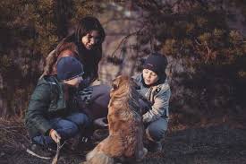 Our mission is to provide affordable and premier pet cremation services with dignity, respect, and compassion. Cat Urn For Ashes Kind Pet Cremation Colorado Pet Cremation Services